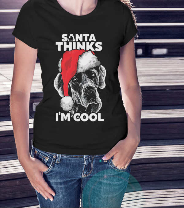 SANTA THINKS I'M COOL GREAT DANE T-Shirt