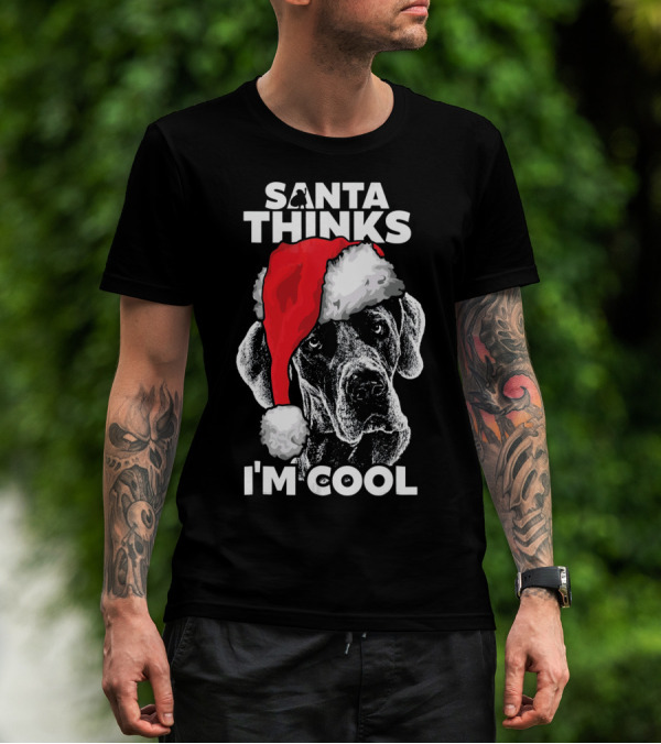 SANTA THINKS I'M COOL GREAT DANE T-Shirt