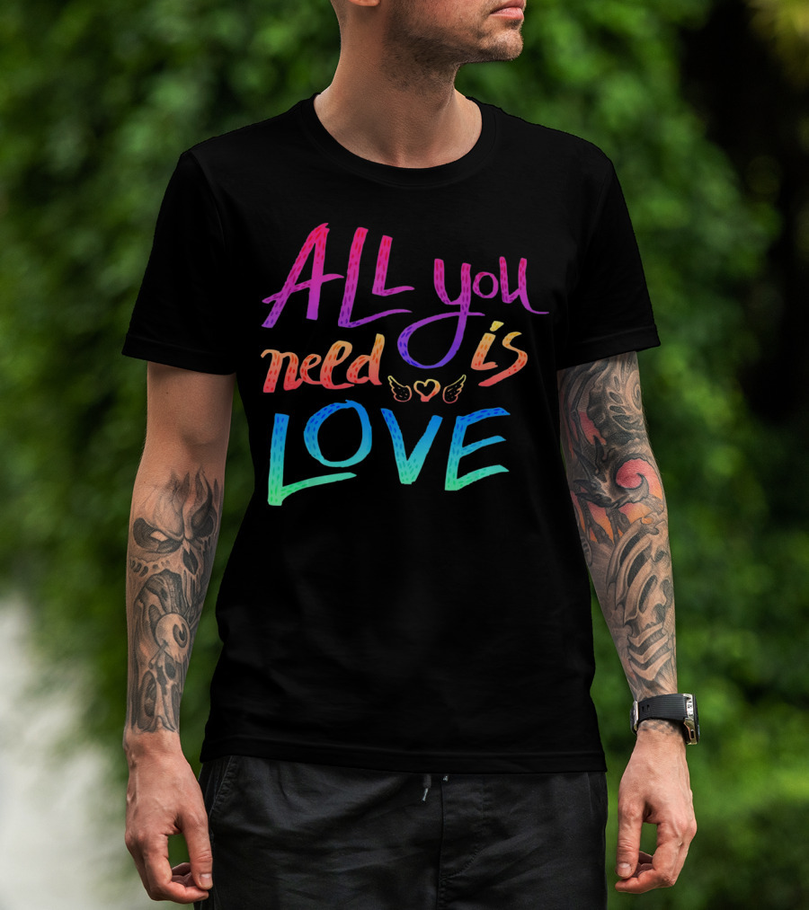 All You Need Is Love Rainbow Wings Heart T-Shirt
