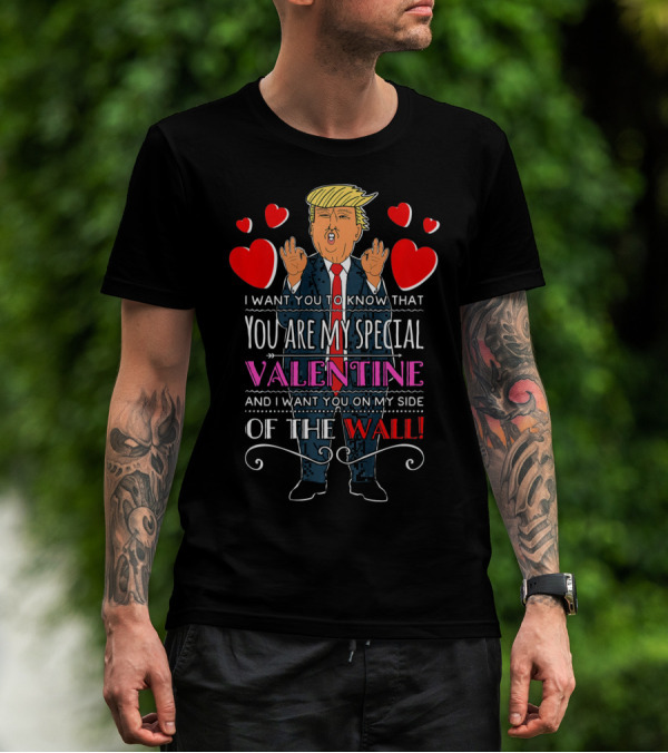 You Are My Special Valentine And I Want You On My Side Of The Wall T-Shirt