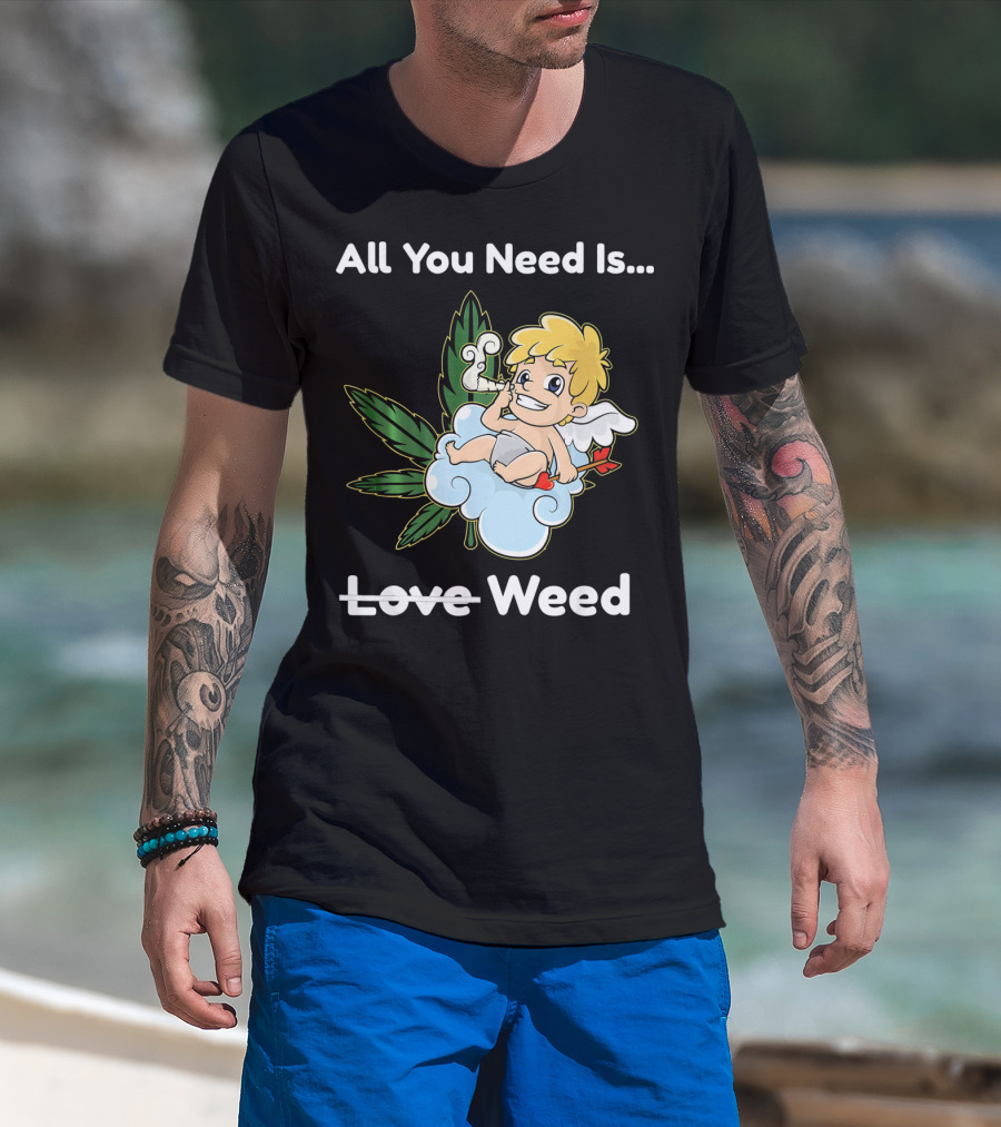 All You Need Is Weed Funny Valentines Day Cupid Smoki T-Shirt