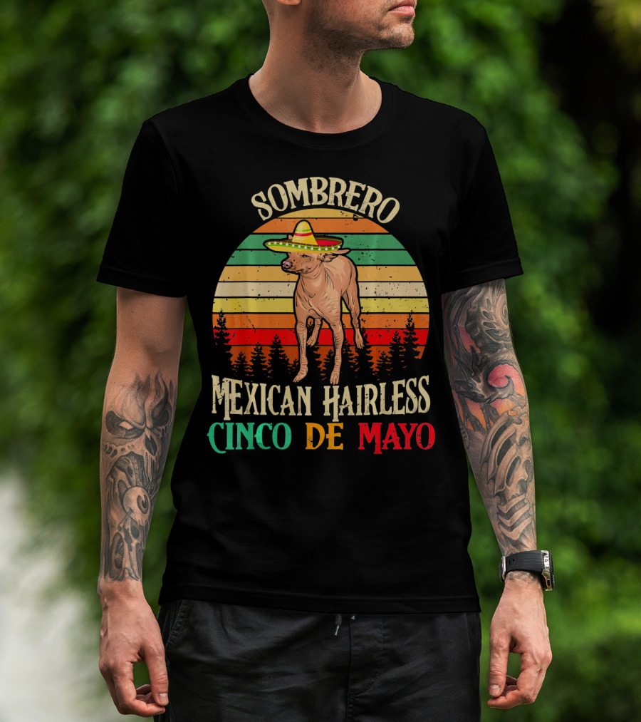 Sombrero Mexican Hairless Cinco De Mayo Vintage Sunset T-Shirt