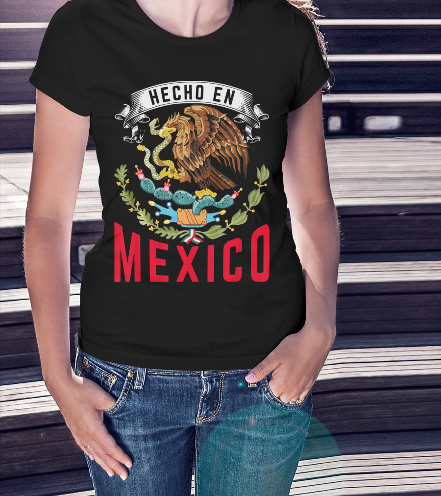 Hecho En Mexico Cinco De Mayo Mexican Mexico T-Shirt