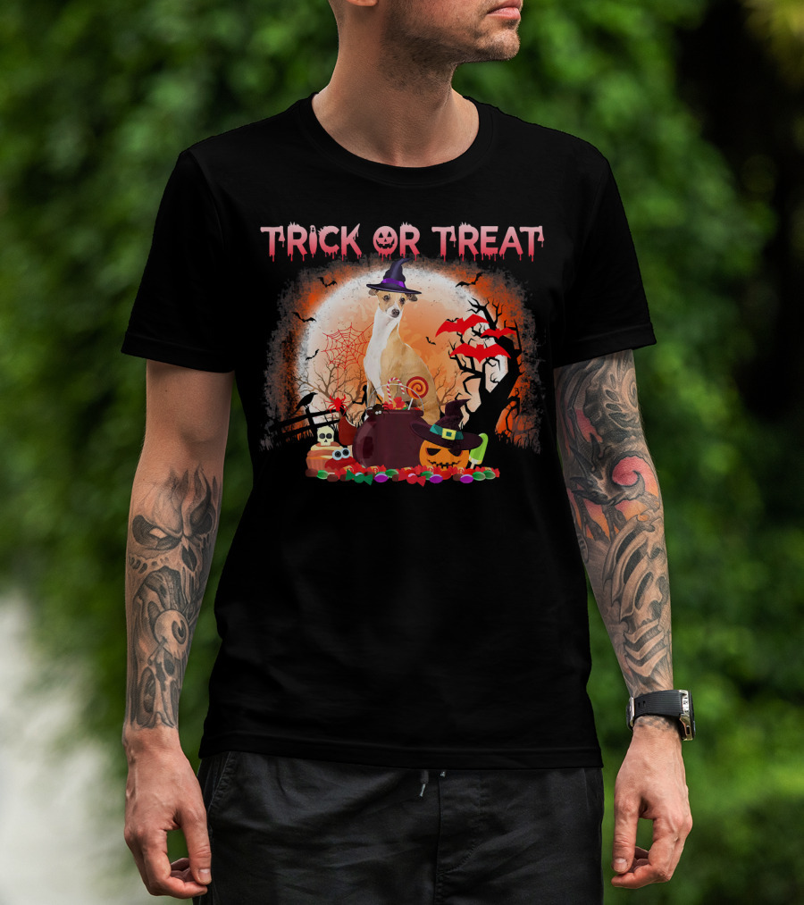 Trick Or Treat Italian Greyhound Halloween Magic Moonlit Scene T-Shirt