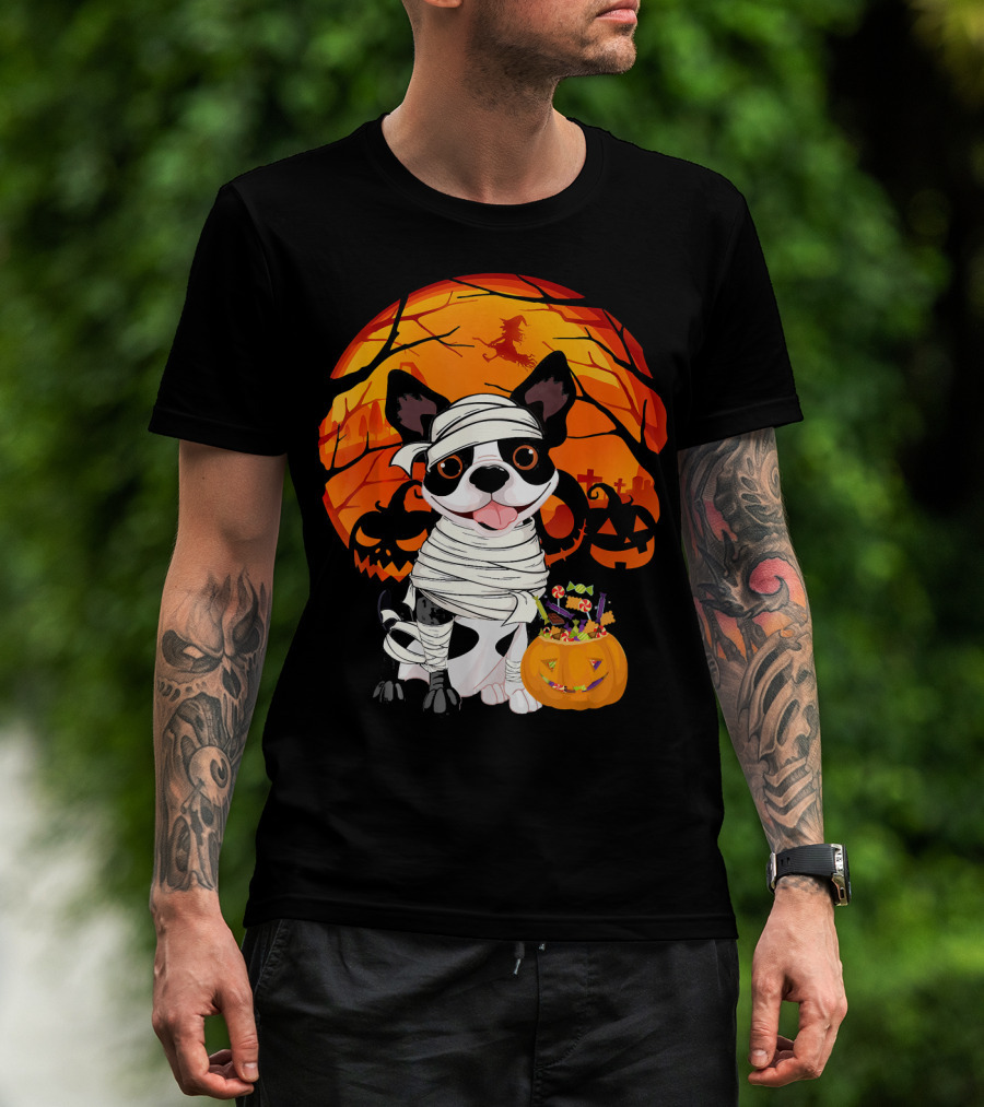 Halloween Kids Boston Terrier Mummy With Pumpkin And Witch T-Shirt
