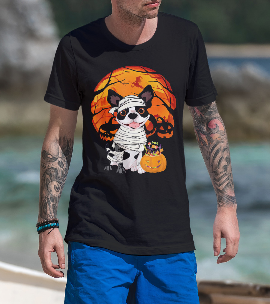 Halloween Kids Boston Terrier Mummy With Pumpkin And Witch T-Shirt