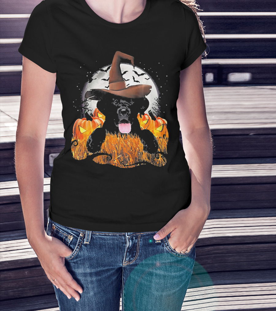 Labrador Halloween Cute Dog Witch With Pumpkin And Moon T-Shirt