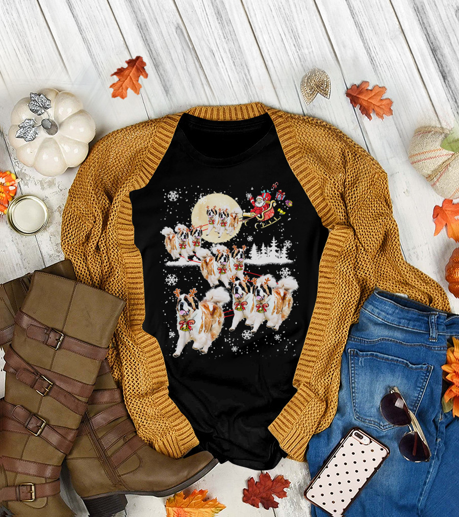 St Bernard Reindeer Christmas Santa Sleigh Nice Dog T-Shirt