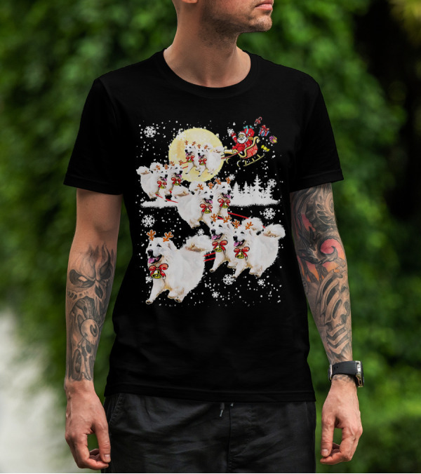 Great Pyrenees Reindeer Santa Christmas With Sleigh And Snowflakes T-Shirt