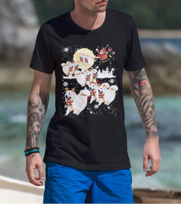 Great Pyrenees Reindeer Santa Christmas With Sleigh And Snowflakes T-Shirt