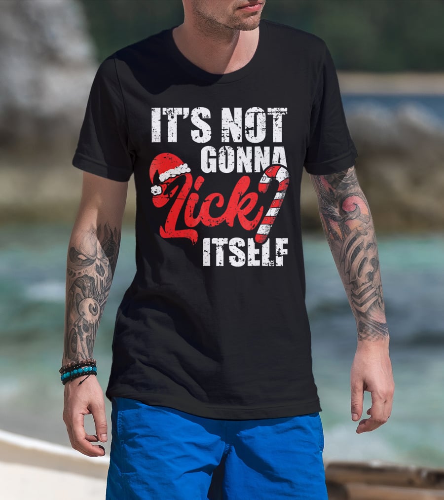 Funny Christmas It's Not Gonna Lick Itself Candy Cane Santa Hat T-Shirt