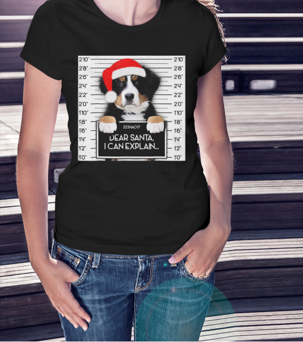 Xmas Bernese Mountain Dog Lover Santa Hat Dear Santa I Can Explain T-Shirt