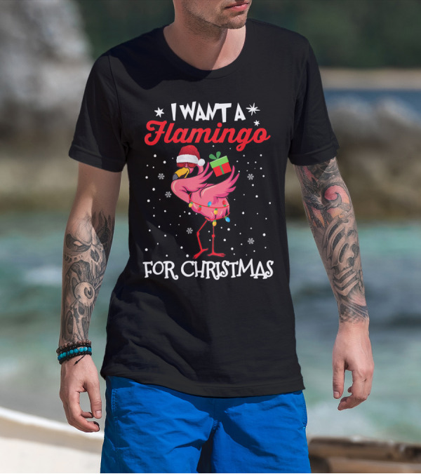 I Want A Flamingo For Christmas Santa Hat Lights Snowflakes Gift Box T-Shirt