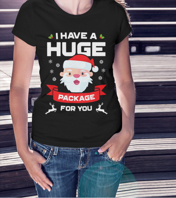 I Have A Huge Package For You Santa Snowflakes Reindeer Christmas T-Shirt