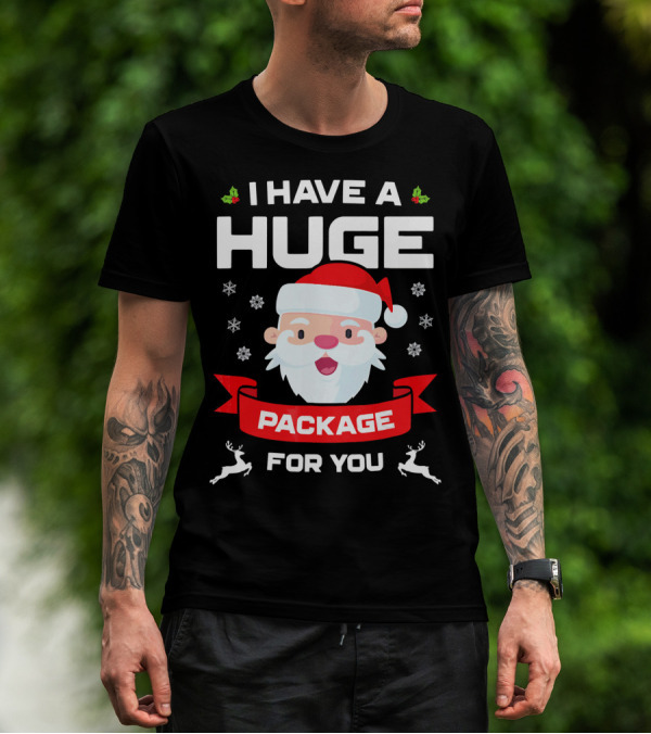 I Have A Huge Package For You Santa Snowflakes Reindeer Christmas T-Shirt