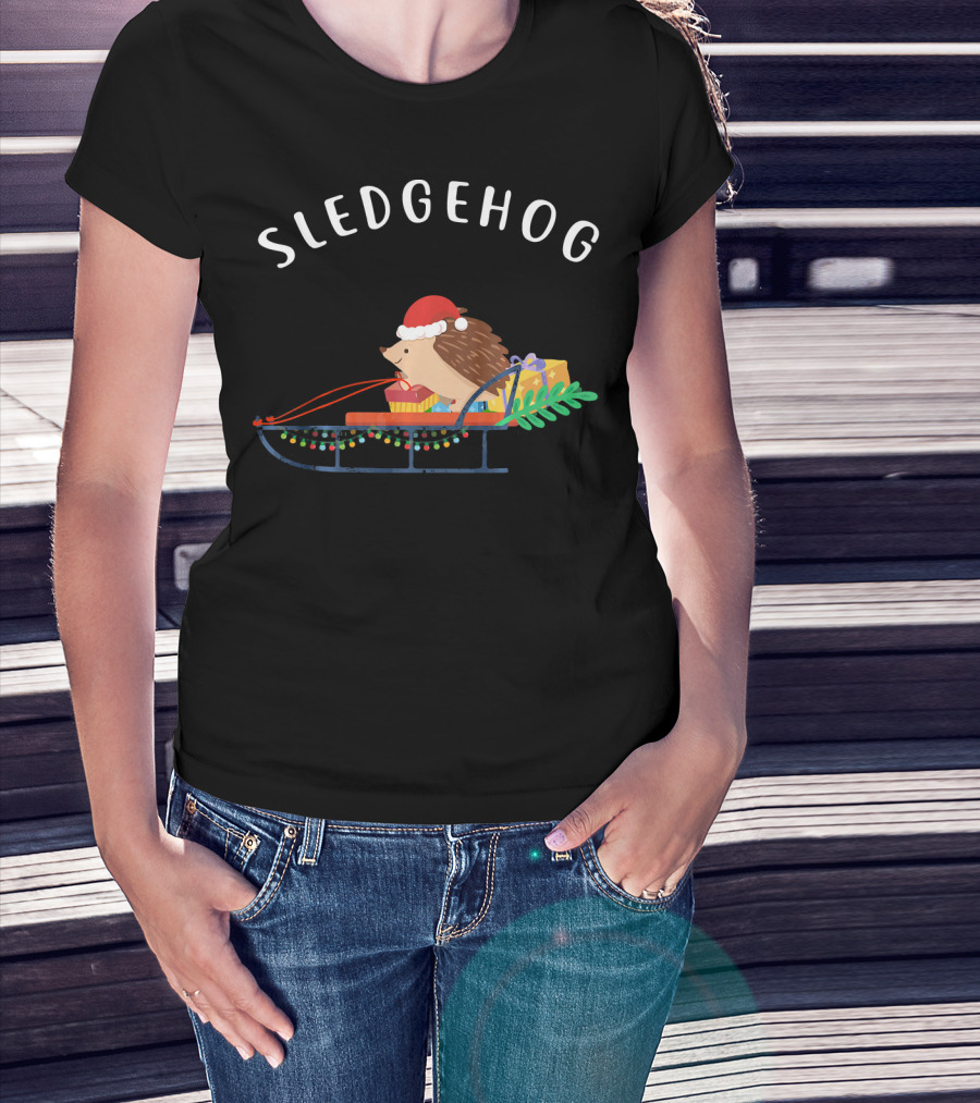 Sledgehog Santa Hedgehog On Christmas Sled With Presents T-Shirt