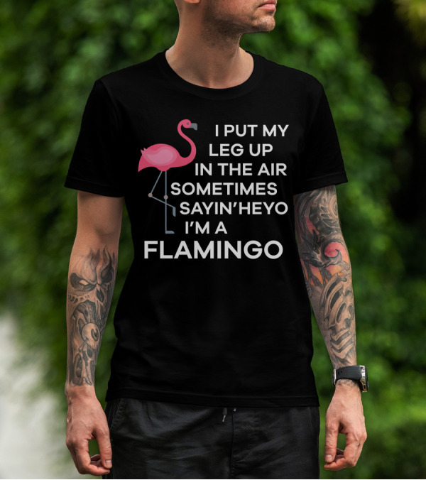 I Put My Leg Up In The Air Sometimes Sayin' Heyo I'm A Flamingo Meme T-Shirt